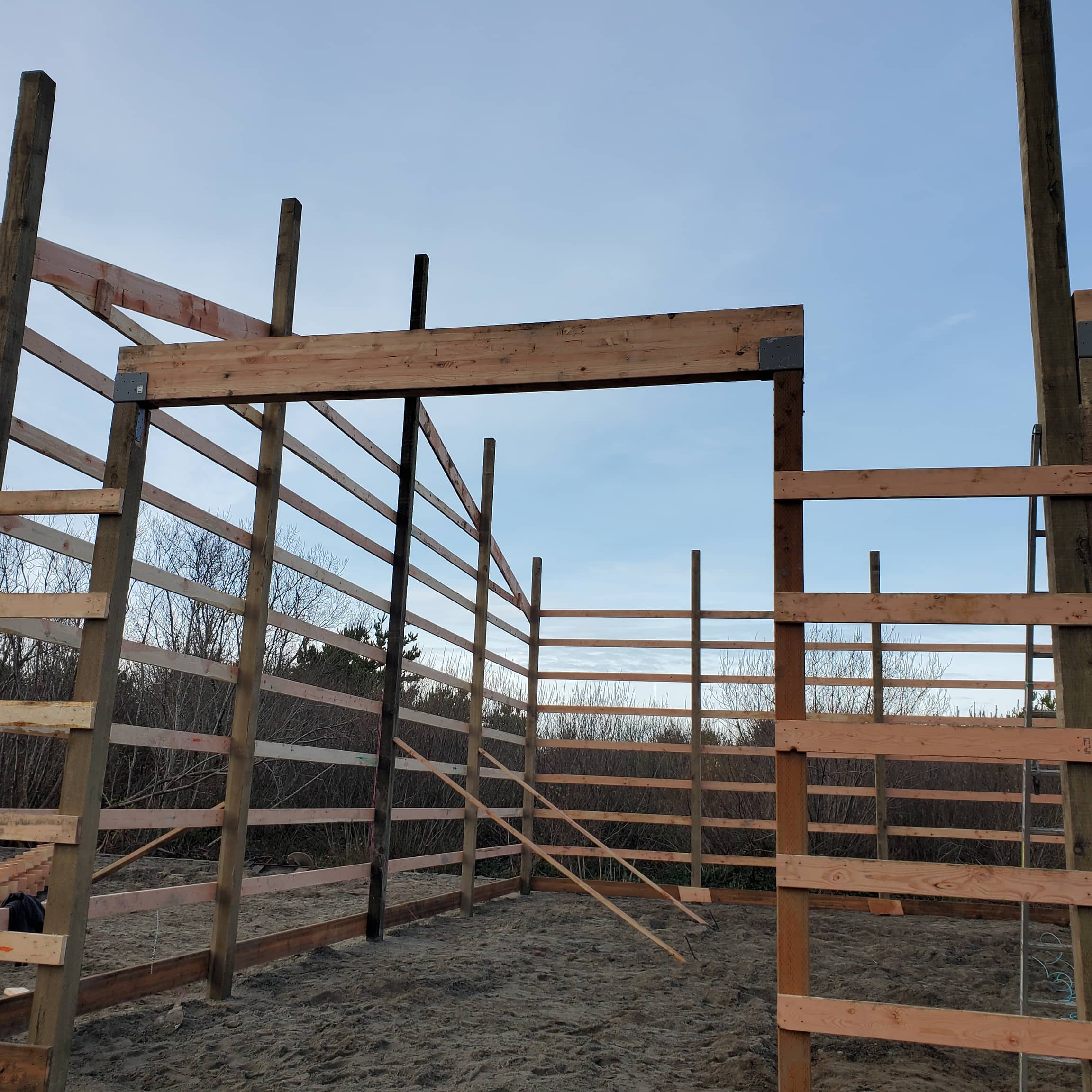 Gallery item c769fac4-7611-48c3-a4de-2ba0934648f1