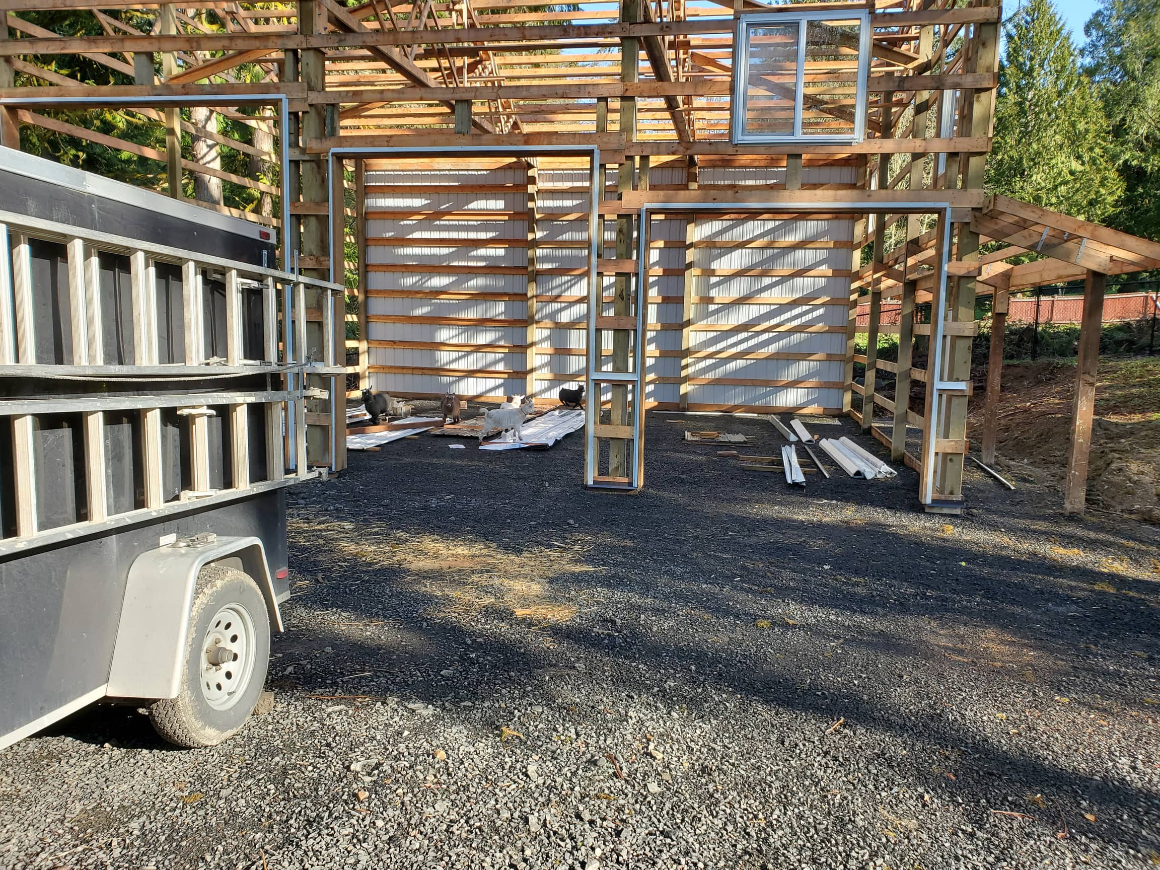 Gallery item c7cb7169-a7cd-4757-9af6-8127d48227f9