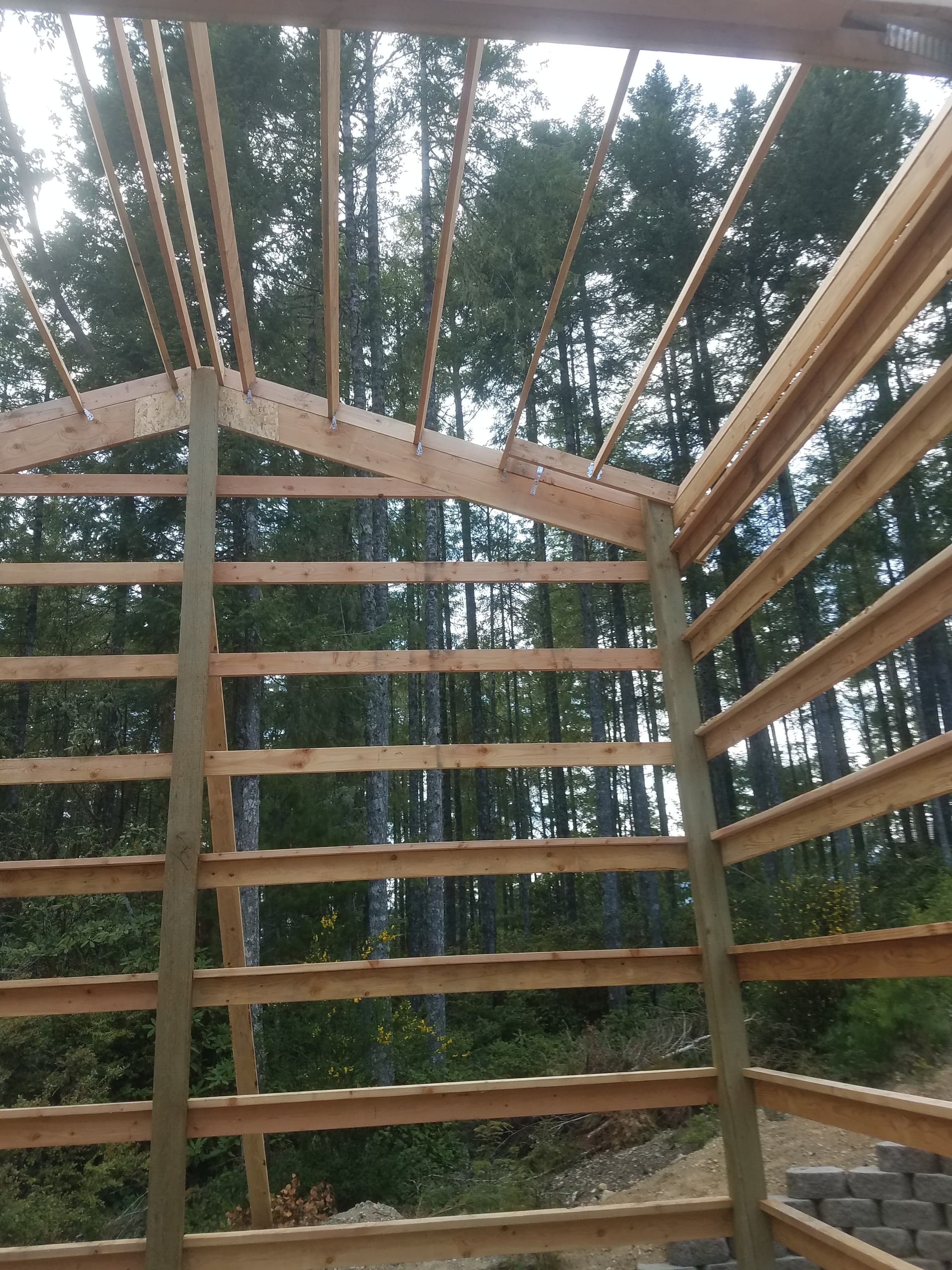 Gallery item 824af449-b7e5-42fb-9ffe-ae84f6347eec