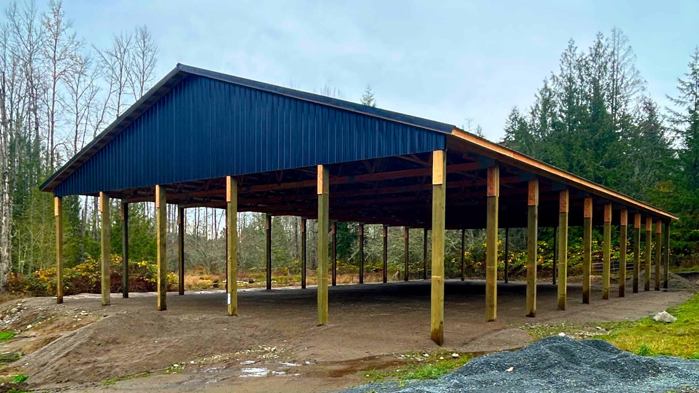 Where Horse Health Meets Pacific Northwest Reality