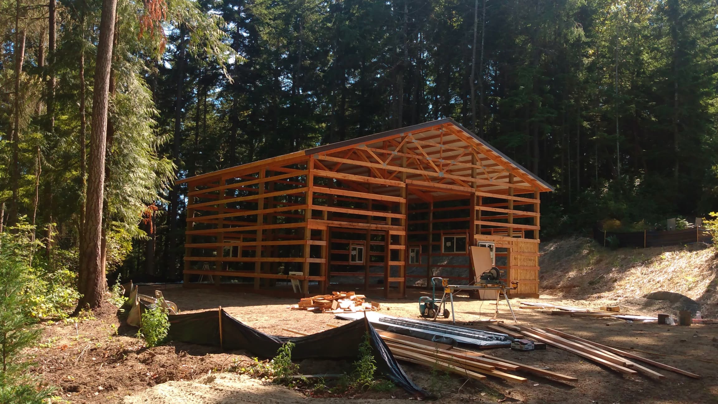 Construction progress on a custom 36'x36' Probuilt pole building in Olalla showing the completed frame structure. This 16' tall post-frame building showcases precision timber framing with multiple window openings and door frames ready for metal siding installation.